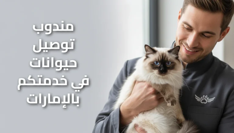 مندوب توصيل حيوانات